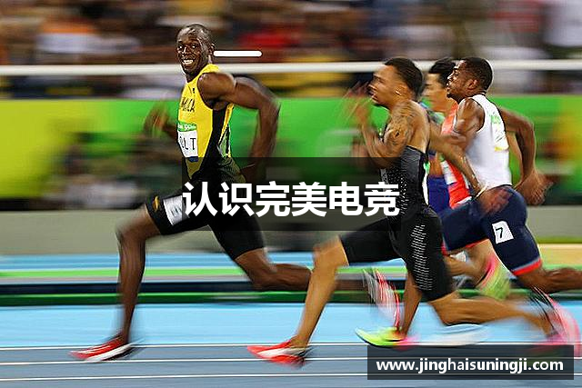 认识人才之星
